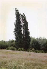 Greenwich Meridian Marker; England; Hertfordshire; Ware (Easnye Estate)